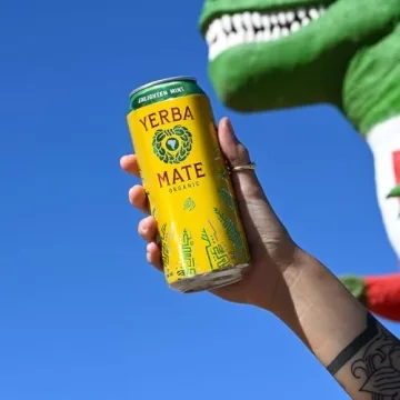 Guayakí Yerba Mate Energy Drink, Enlighten Mint, 150mg Caffeine