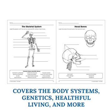 Human Body Workbook for Grades 5-8 Engage and Learn