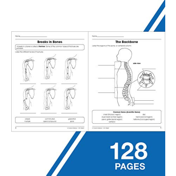 Human Body Workbook for Grades 5-8 Engage and Learn