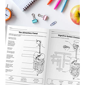 Human Body Workbook for Grades 5-8 Engage and Learn