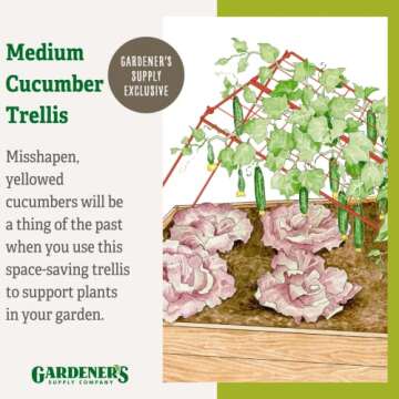Gardener's Supply Cucumber Trellis for Easy Harvesting