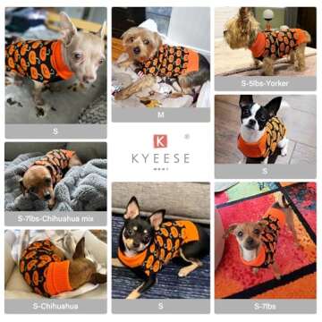 KYEESE Pumpkin Turtleneck Dog Sweater for Halloween Fun