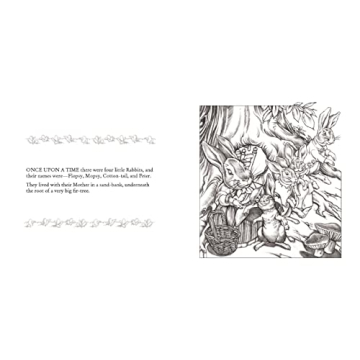 Beautiful Peter Rabbit Coloring Book for All Ages