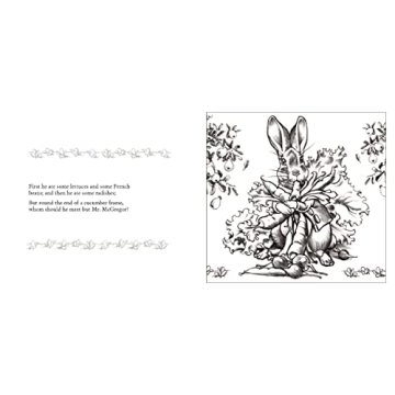 Beautiful Peter Rabbit Coloring Book for All Ages