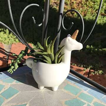 Planter for Succulent Plant Ceramic Plant Pots Indoor, Novelty Planters for Home Office Garden (Whit...