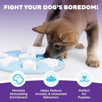 Outward Hound Puppy Smart Treat Puzzle for Dogs