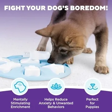 Outward Hound Puppy Smart Treat Puzzle for Dogs