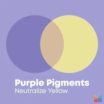 Matrix So Silver Purple Shampoo for Grey Blonde Hair