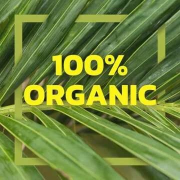 Native Forest Organic Young Jackfruit - Organic Canned Jackfruit, Jackfruit Canned, Jackfruit Organic, Vegan Meat Substitute - 14 Ounce (Pack of 6)