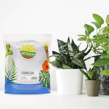 Horticultural Charcoal for Indoor Plants (2 Quarts), Hardwood Soil Additive for Orchids, Terrariums,...
