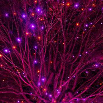 Dazzle Bright 200 LED Halloween Mini String Lights