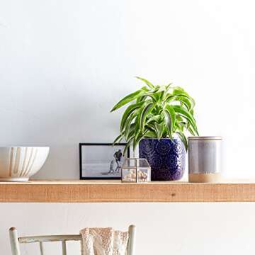 Amazon Brand - Stone & Beam Cylindrical Modern Ceramic Floral Embossed Decorative Planter Flower Pot, 6" x 6.25", Blue