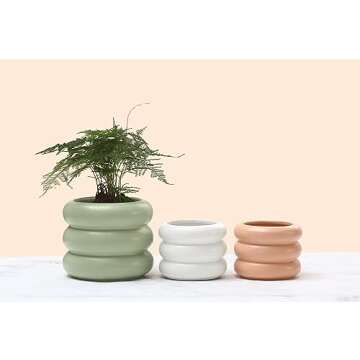 Wavy Studio 4.7" Ceramic Bubble Planter with Drainage Hole, Modern & Chic Indoor Plant Pot, Minimali...