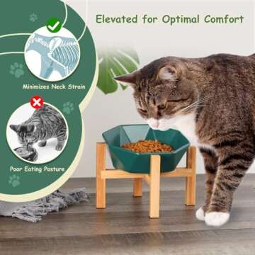 Elevated White Ceramic Pet Bowl with Bamboo Stand