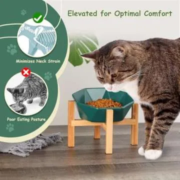 Elevated White Ceramic Pet Bowl with Bamboo Stand