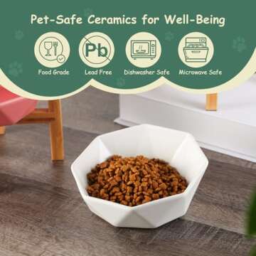 Elevated White Ceramic Pet Bowl with Bamboo Stand