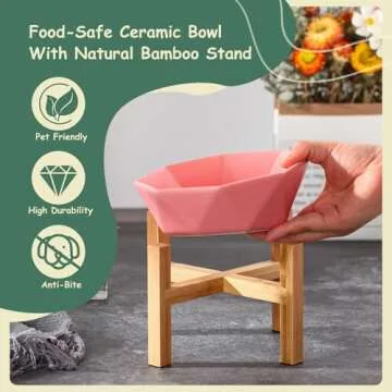 Elevated White Ceramic Pet Bowl with Bamboo Stand
