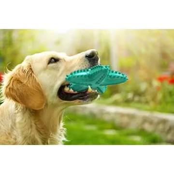 Carllg Durable Chew Toys for Aggressive Chewers