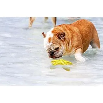 Carllg Durable Chew Toys for Aggressive Chewers