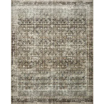 Luxury Loloi Amber Lewis Area Rug for Your Beautiful Home