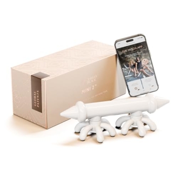 Mini 2 by Ashley Black Handheld Massager for Sore Muscles