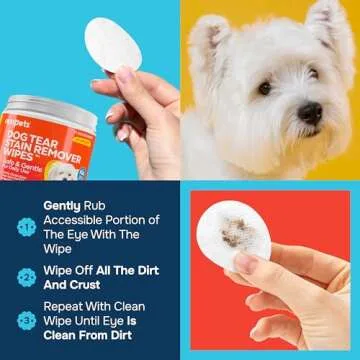 REXIPETS Dog Eye Wipes - Tear Stain Remover for Dogs - Remove Discharge & Mucus Secretions - 100 Soft Presoaked & Textured Eye & Face Wipes