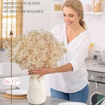 6500+ Large Dried Babys Breath Flowers Bouquet - Upgraded Package Bulk Cream White Baby Breath(7.05 ...