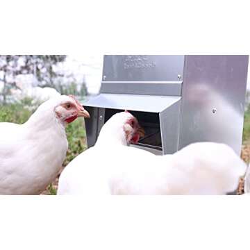 RentACoop Metal Trough Feeder with Lid - Outdoor Use, Rainproof - Suitable for Chicken, Bantams, Poultry, Pheasants, and Turkey - 10lb Capacity