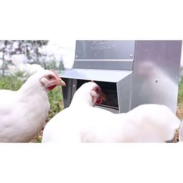 RentACoop Metal Trough Feeder - 10lb Capacity, Rainproof