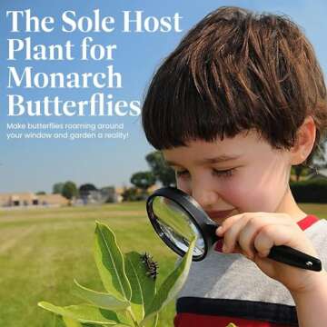 American Plant Exchange Live Milkweed Plant, Host for Monarch Butterflies, Plant Pot for Home and Garden Decor, 6" Pot