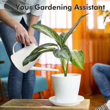 Watering Can for Indoor Outdoor Plants, Modern Small Watering Cans with Removable Nozzle, Long Spout Watering Can for Indoor Bonsai Plants Garden Flowers 1/2 Gallon 1.8L 60OZ