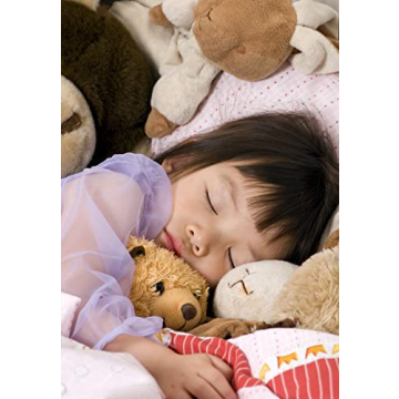 Fairfield The Original Poly-Fil, Premium Polyester Fiber Fill, Soft Pillow Stuffing, Stuffing for Stuffed Animals, Toys, Cloud Decorations, and More, Machine-Washable Poly-Fil Fiber Fill, 16-ounce Bag