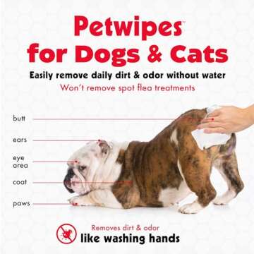 Petkin Pet Wipes for Dogs and Cats, 100 Large Wipes - Removes Dirt & Odor Like Washing Hands - Cleans Ears, Face, Butt, Eye Area - Convenient, Ideal for Home or Travel - 1 Pack of 100 Wipes