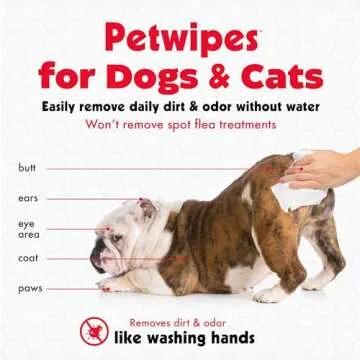 Petkin Pet Wipes for Dogs and Cats, 100 Large Wipes - Removes Dirt & Odor Like Washing Hands - Cleans Ears, Face, Butt, Eye Area - Convenient, Ideal for Home or Travel - 1 Pack of 100 Wipes