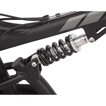 Schwinn S29 Mountain Bike - 29" Wheels & Dual Suspension