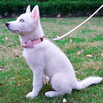 Tunkoo Dog Collar with Bow Tie Elegant Plaid Soft Comfy Cotton Adjustable Collar Premium Metal Buckle,Small Medium Large Puppy Cat Outdoor Training Walking Running（Pink Grid，S）