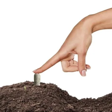 Jobe's Organic Fertilizer Spikes for Strong Plant Growth