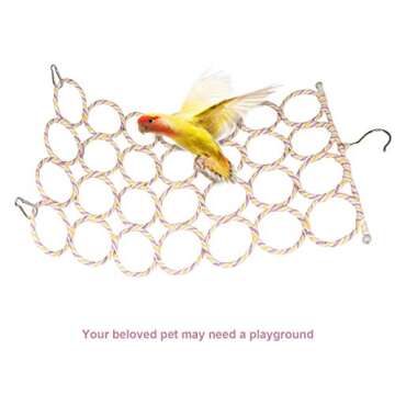 Vibrant Parrot Swing Toys for Active Play and Exercise