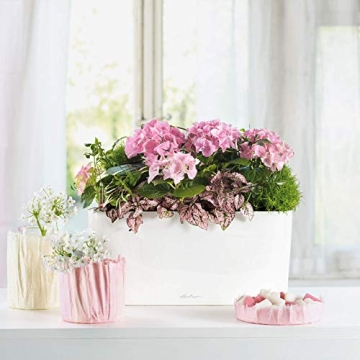 Lechuza Delta 20 Self-Watering Planter for Indoor/Outdoor