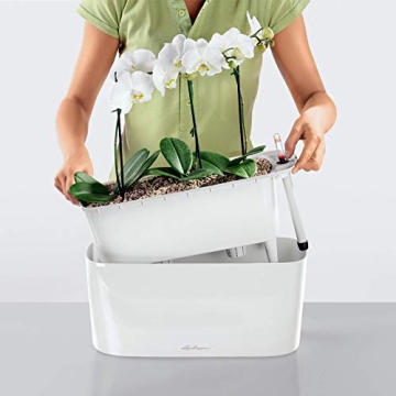 Lechuza Delta 20 Self-Watering Planter for Indoor/Outdoor