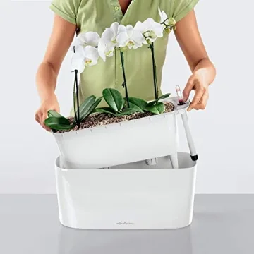 Lechuza Delta 20 Self-Watering Planter for Indoor/Outdoor