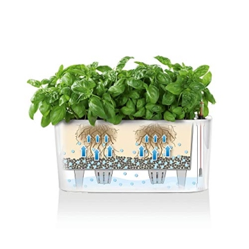 Lechuza Delta 20 Self-Watering Planter for Indoor/Outdoor