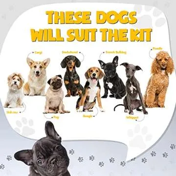 Puppy Starter Kit with Bed, Toys, and Essentials