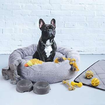 Puppy Starter Kit with Bed, Toys, and Essentials