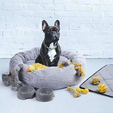 Puppy Starter Kit with Bed, Toys, and Essentials