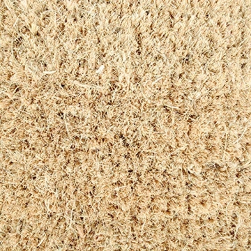 DII Halloween Coir Doormat - Durable & Adorable Decor