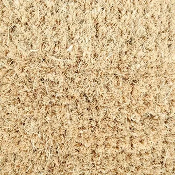 DII Halloween Coir Doormat - Durable & Adorable Decor