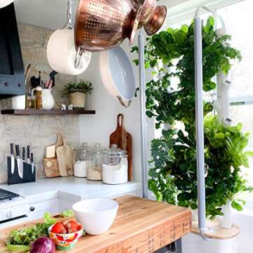 Gardyn 1.0 Hydroponics Growing System & Vertical Garden Planter | Indoor Smart Garden| Includes 30 Non-GMO Indoor Plants, Herbs & Vegetables & LED Grow Lights for Your Home Indoor Gardening System