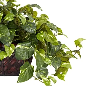 Nearly Natural Pothos Plant for Elegant Home Decor