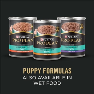 Purina Pro Plan Salmon and Rice for Sensitive Puppies
